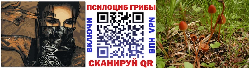 Псилоцибиновые грибы Cubensis Каргополь